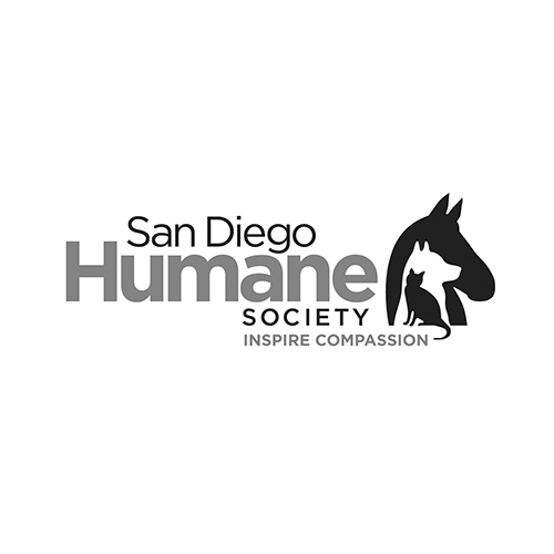 San Diego Humane Society Westfield Cares careers-think-public-media